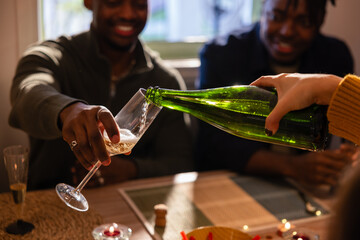 Celebratory toast with friends at a dinner gathering