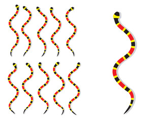 Coral Snake Animal Animation Sequence Cartoon Vector
