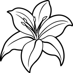 lily flower outline vector illustration line art