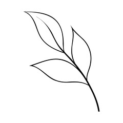 Simple elegant black and white leafy branch illustration with clean minimalist design