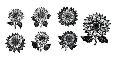 Obraz premium sunflower, hand drawn sunflowers, black and white sunflower sketch, detailed sunflower illustrations, botanical sunflower drawings, monochrome sunflower silhouettes, sketched sunflower elements, sunfl