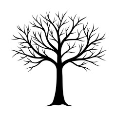 Silhouette illustration of a bare tree with intricate branches in black on white background