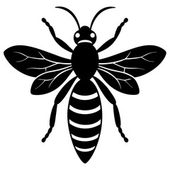 vector illustration of a bee