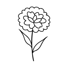 Simple black and white floral illustration of a beautiful blooming flower with stem