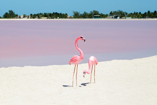 Flamingos and a Pink Salt Lake