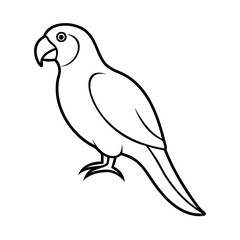 Simple black and white outline illustration of a parrot perched on a white background