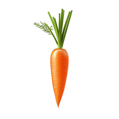 A single orange carrot with green leafy top isolated on white background