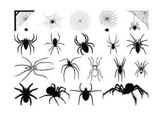  Spider vector, Spider clipart, Spider silhouette