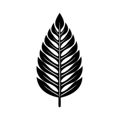 Elegant black and white vector illustration of a detailed tropical leaf isolated on white