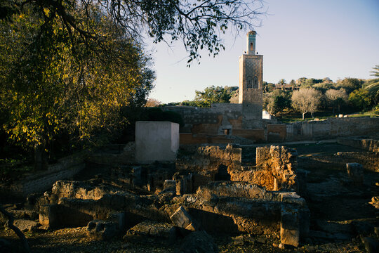 Golden Hour Light on Chellah Necropolis Ruins in Rabat