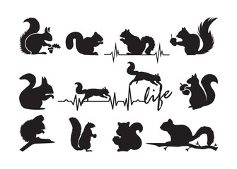 Squirrel vector, Squirrel clipart, Squirrel silhouette