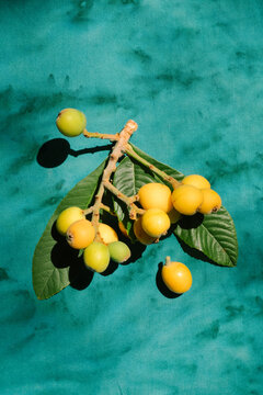 Fresh Loquat Fruit