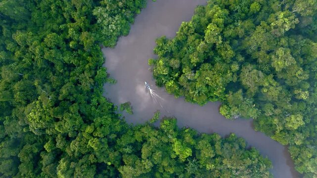 BOATS SAILING IN THE MIDDLE OF THE AMAZON RAINFOREST, IN THE MIDDLE OF THE JUNGLE AND THE MORNING FOG