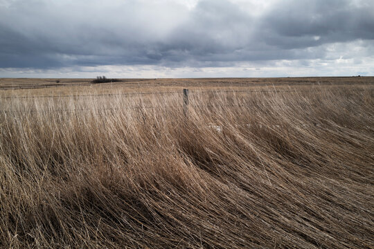 Grasslands up against a fence.