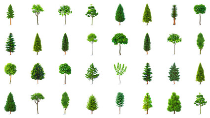 Collection of Diverse Green Trees Evergreen, Coniferous, Deciduous - Isolated on White Background, Perfect for Landscaping Design, Nature Projects, and More