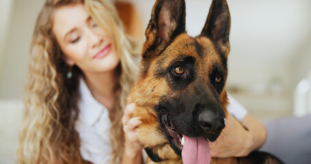 Obraz premium House, woman and adoption of dog, hug or love for german shepherd in living room, petting or canine. Owner, person or embrace with rescue animal in lounge, bonding or stroke for domestic companion
