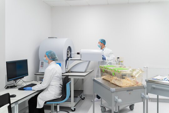 Scientists Working Together In Ethical Animal Research Lab
