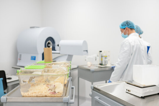 Ethical Animal Research Laboratory