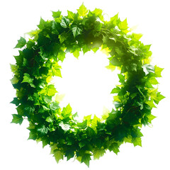 Green ivy circle frame isolated on white transparent background