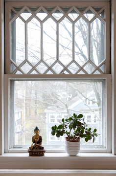 House decor with Shakyamuni Buddha and jade houseplant