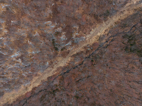 Drone aerial view of forest trail in Harriman State Park