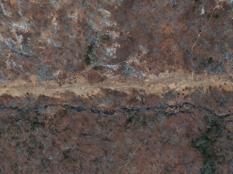 Drone view of forest path and stream in Harriman Park