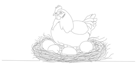 vector line art design of chicken incubating eggs eps 2