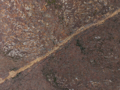 Aerial view of forest trail in Harriman State Park