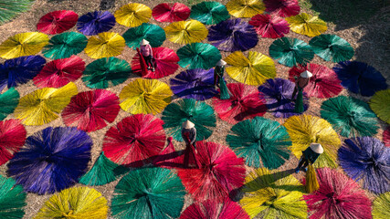 Drying sedge in the sedge growing area, raw material for weaving mats, the sedge has been dyed with beautiful colors. Photo taken in Phu Yen on May 17, 2025.	