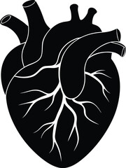 Heart Silhouette Vector, Human Heart Icon Clipart