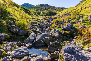 日本の風景・秋　立山黒部アルペンルート　紅葉の天狗平
