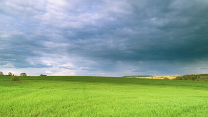 Obraz premium A Vast Green Field Spreads Out Beneath a Dramatic and Beautiful Cloudy Sky Above Time lapse.