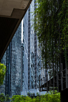 Modern office building with sustainable vertical garden 