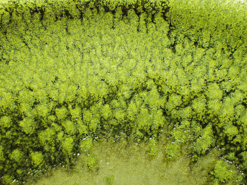 Textured background of microscopic glaze of Chinese ceramics tea cup
