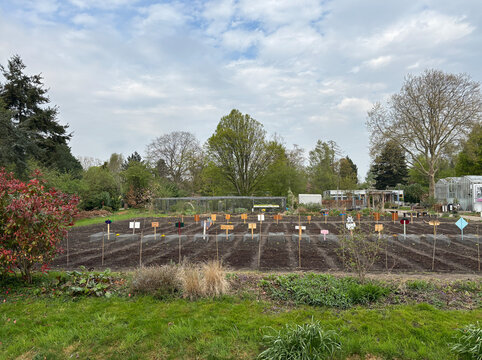 agricultural plot