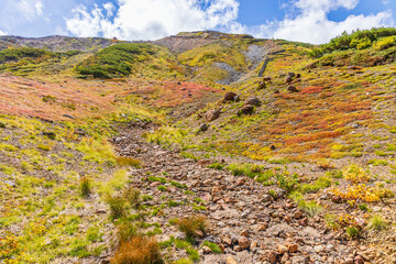 日本の風景・秋　立山黒部アルペンルート　紅葉の雷鳥沢