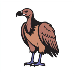 Fototapeta premium Brown Vulture standing with detailed plumage in a studio shot. Wildlife illustration with a profile view of a bird of prey against a plain white background.