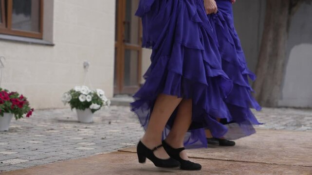 Flamenco Spain. Beautiful flamenco dancer in motion