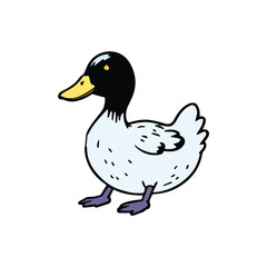Obraz premium Cute cartoon duck in profile view against a plain background. Friendly animal illustration suitable for children's educational or entertainment media.