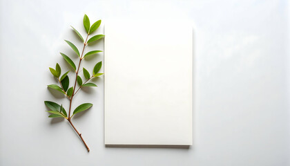 Green Branch and Blank White Paper on White Background