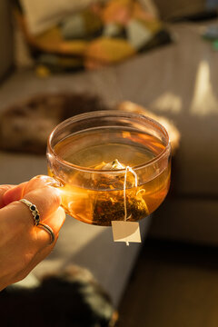 Hand holding a glass cup of herbal tea in sunlight