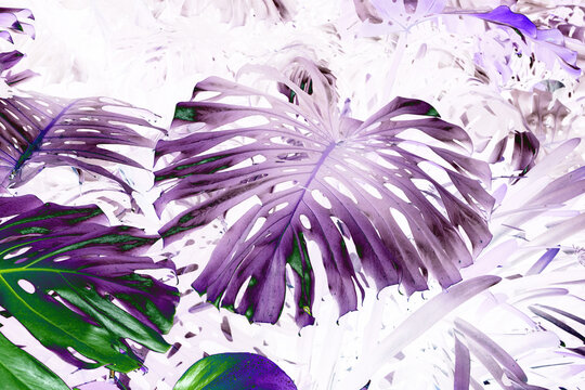 Surreal jungle scene with vivid green and purple foliage