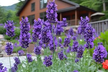 Bright lavender flowers bloom in a serene garden near a rustic wooden house surrounded by greenery