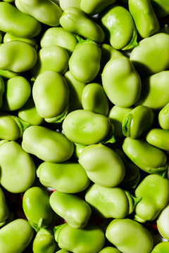 fava beans