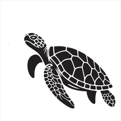 Fototapeta premium Turtle 