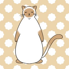 Picture of a cute standing brown and white cat.