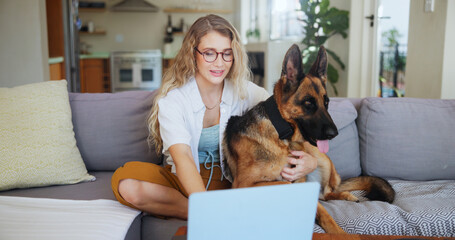 Laptop, online and dog with woman on sofa for pet insurance research, premium benefits and reading. Animal policy cover, typing and application with person and german shepherd at home for vet claims