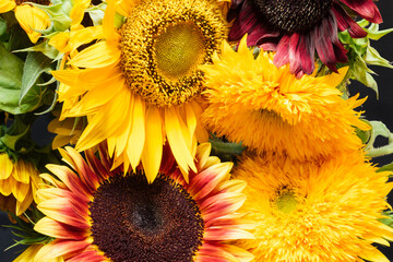 Sunflowers closeup