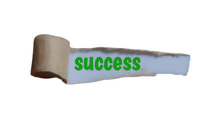 Achieving Success