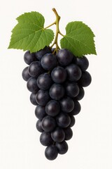 Fototapeta premium Freshly picked bunch of juicy black grapes with green leaves on a light background perfect for food related projects